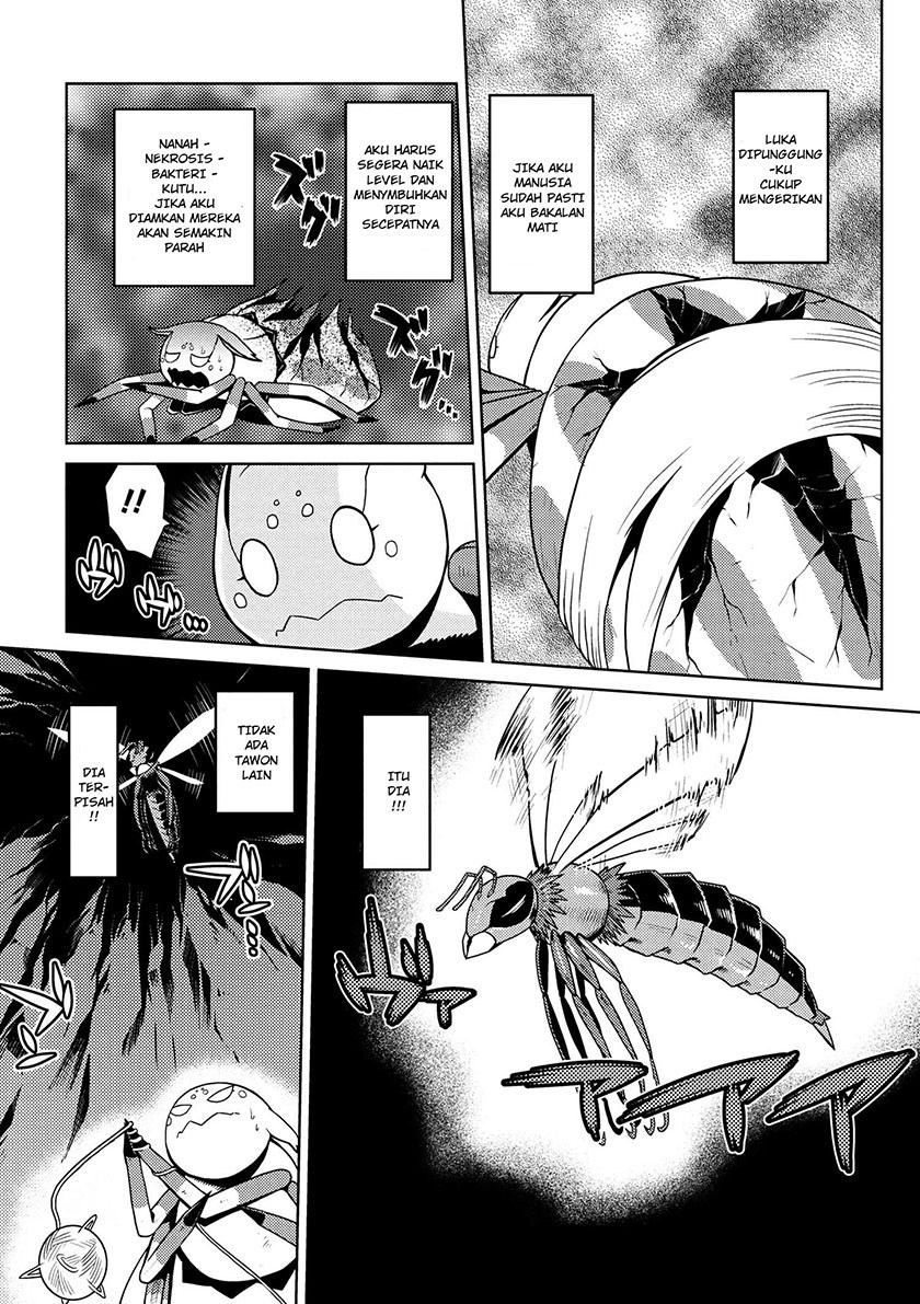 Kumo desu ga, Nani Ka?